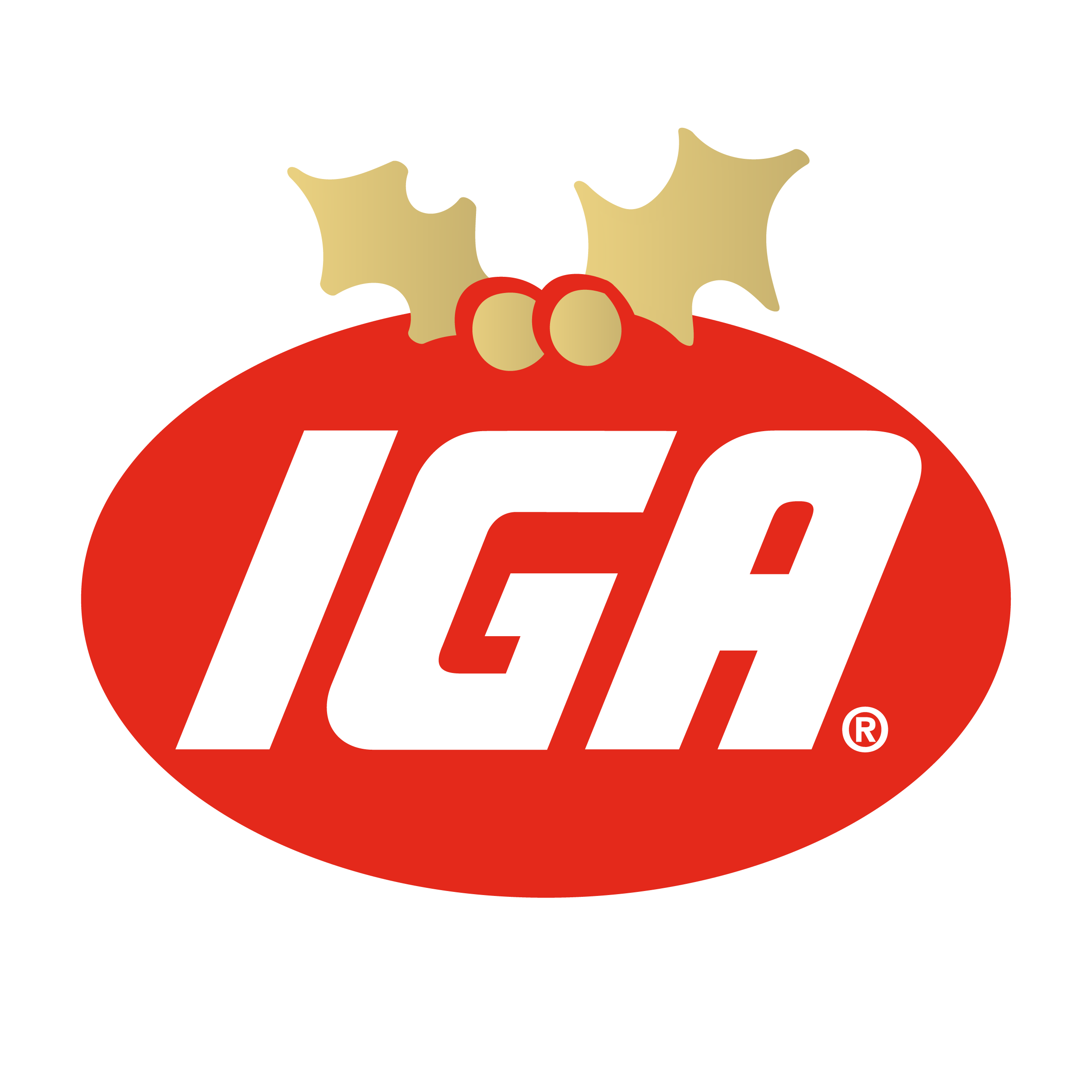 IGA logo with christmas decoration