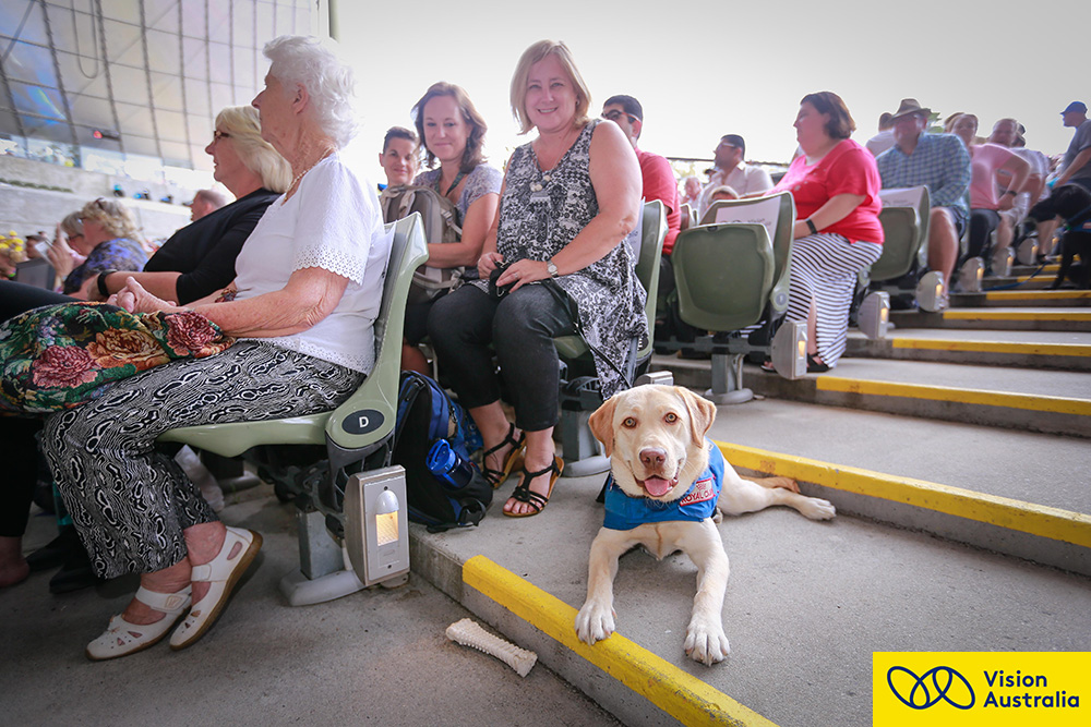 Seeing Eye Dog seated next to handler in the seated stalls at Vision Australia's Carols by Candlelight rehearsal night