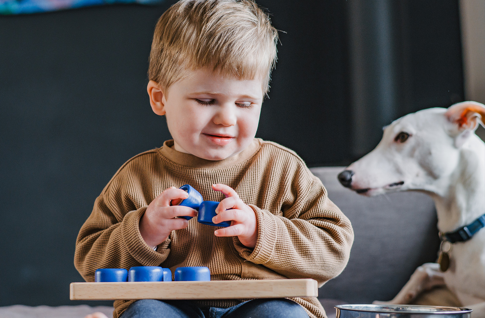 Young boy plays with blocks sitting next to a white dog